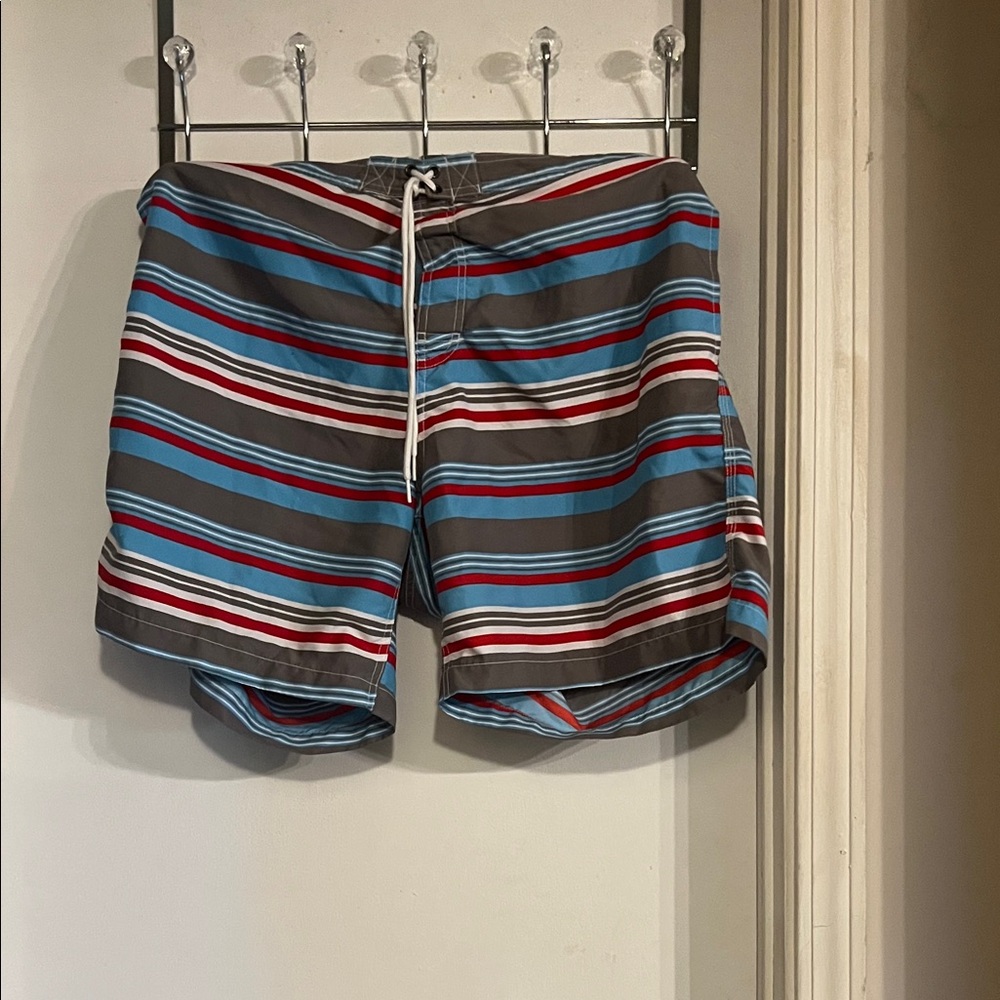 Striped Men's Board Shorts in Blue and Red